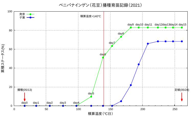 図1: 21021年の花豆播種から定植までの経過（ N=41 ）