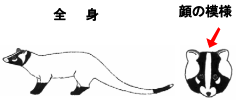 図1:  ハクビシンの悪相（農水省,2019より）